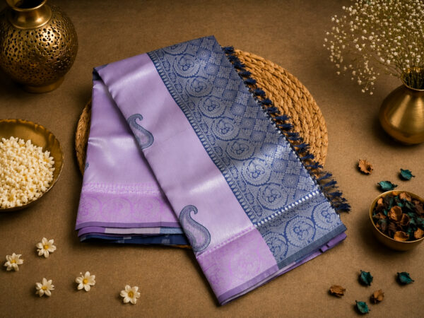 Saree Model 25