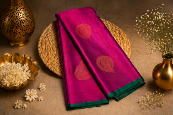 Saree Model 28