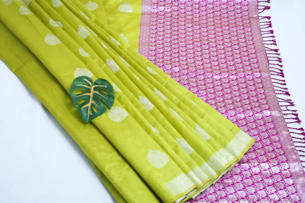 Saree Model 1