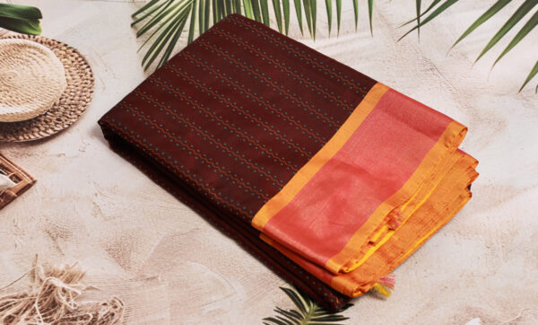 Saree Model 13