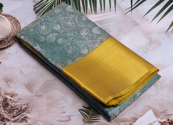 Saree Model 15