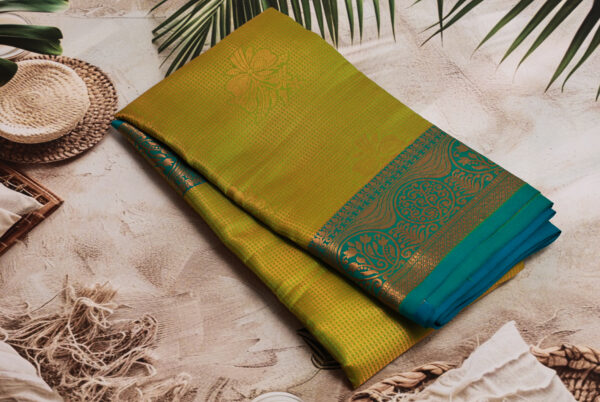 Saree Model 16