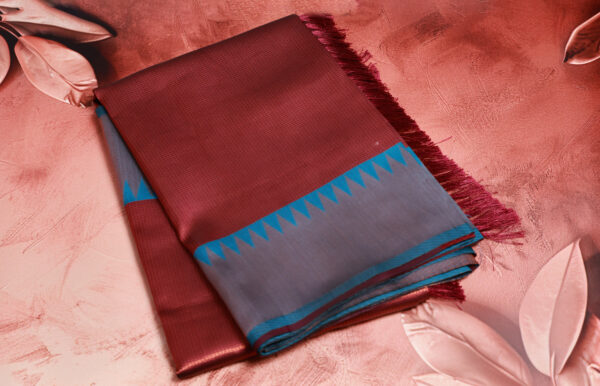 Saree Model 19