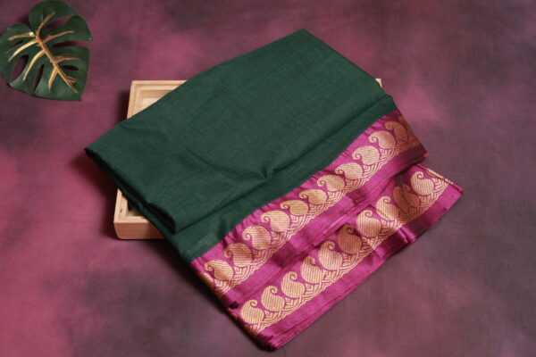 Saree Model 20