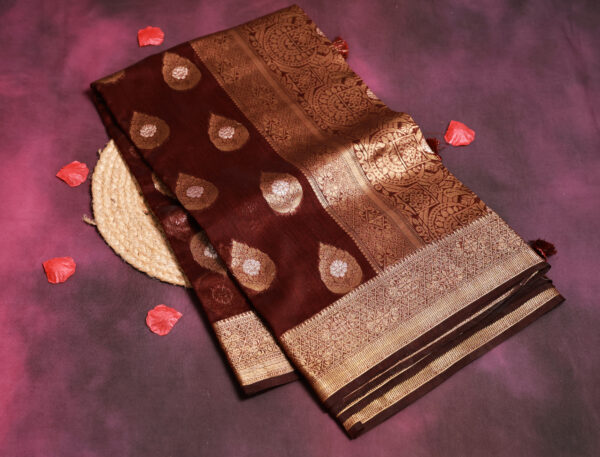 Saree Model 24