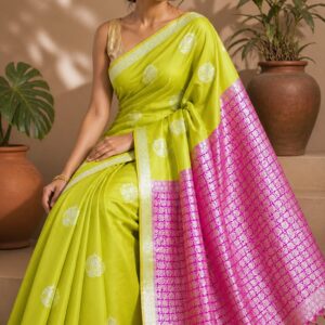 Saree Model 49